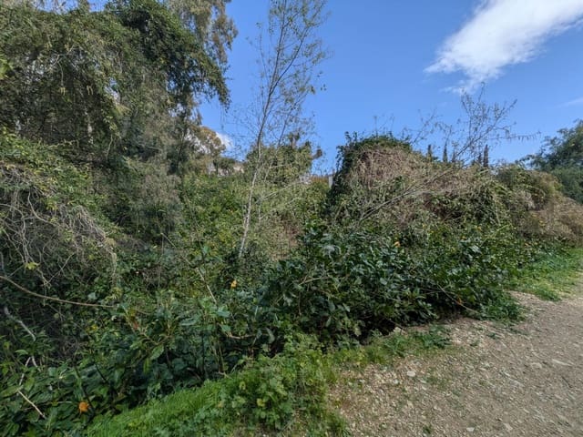 Terreno para Construção para venda em Benalmádena - 1 300 000 € (Ref: 9670577)