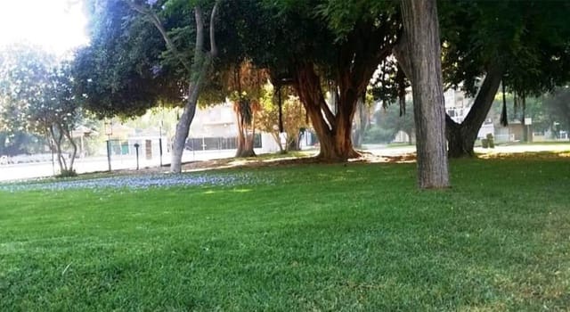 2 Zimmer Apartment zu verkaufen in Benalmádena mit Pool - 285.000 € (Ref: 9772998)