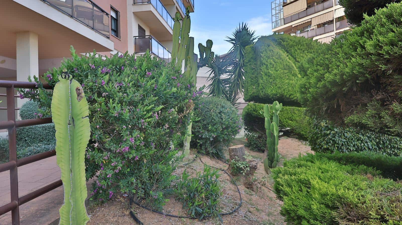3 chambre Appartement à vendre à Malaga ville avec piscine - 553 000 € (Ref: 9825199)