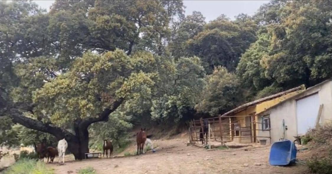 8 sypialnia Finka/Dom wiejski na sprzedaż w Ronda z garażem - 750 000 € (Ref: 9860046)