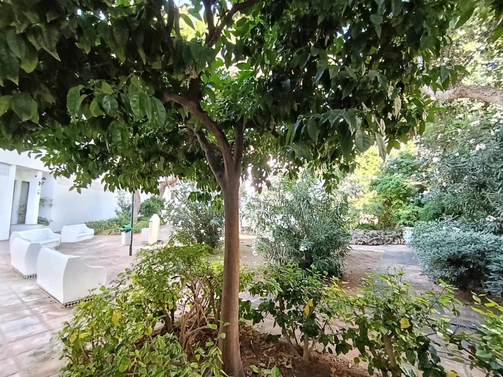 3 bedroom Flat for sale in Torremolinos with pool garage - € 529,900 (Ref: 9878752)