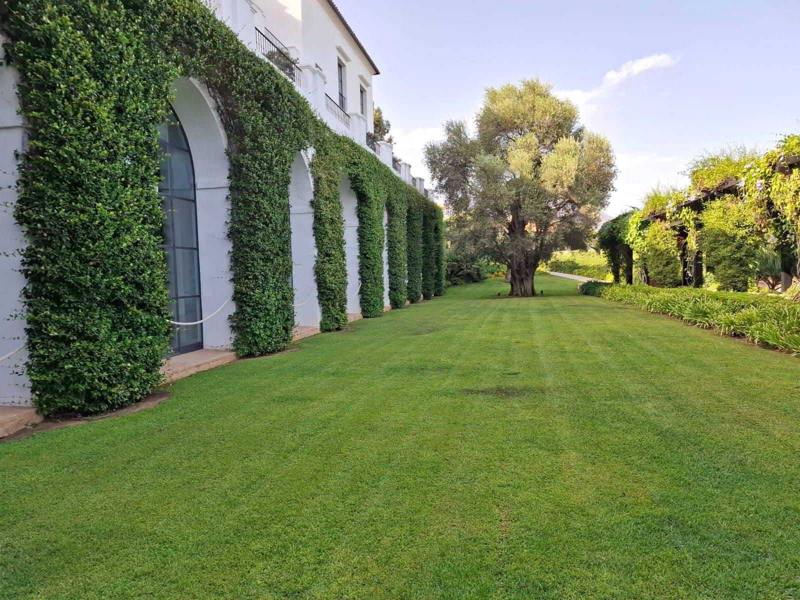 Byggegrund til salg i Casares - € 708.345 (Ref: 10081146)