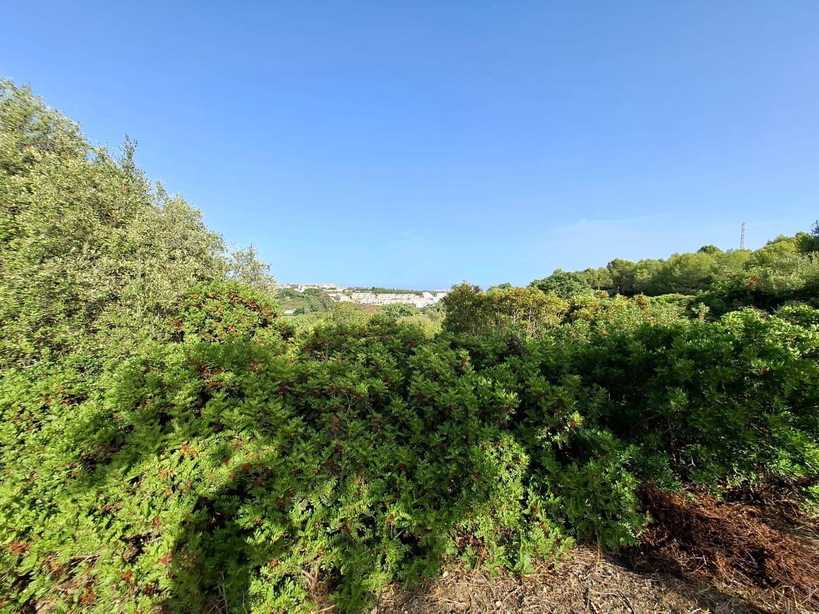 Byggegrund til salg i Casares - € 708.345 (Ref: 10081146)
