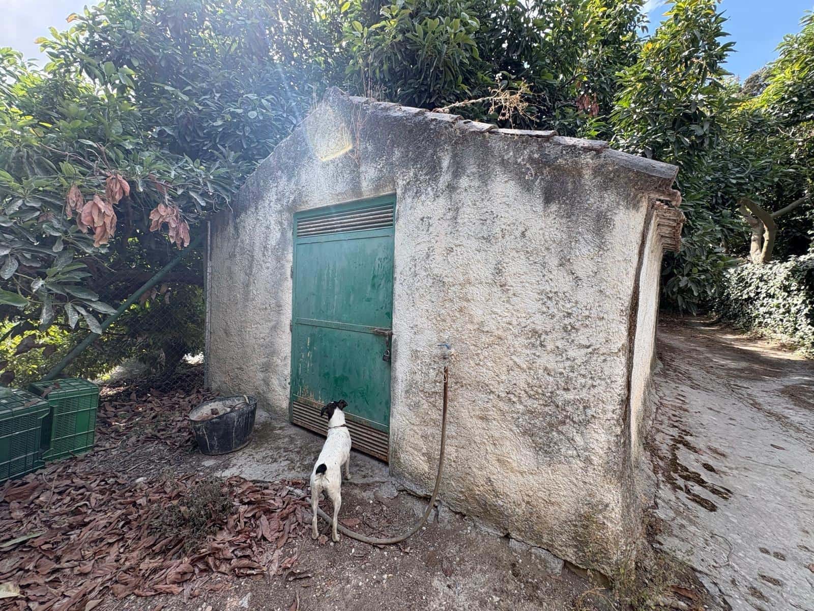 Finca/Casa Rural de 3 habitaciones en Coín en venta - 320.000 € (Ref: 10094941)