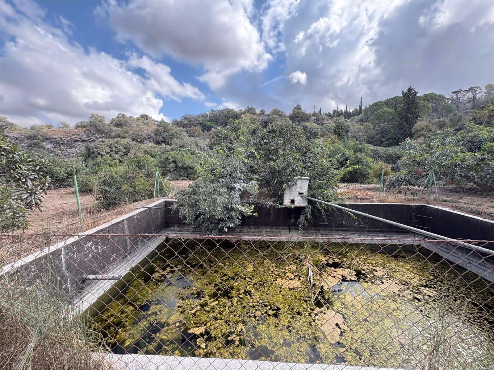 Finca/Casa Rural de 3 habitaciones en Coín en venta - 320.000 € (Ref: 10094941)