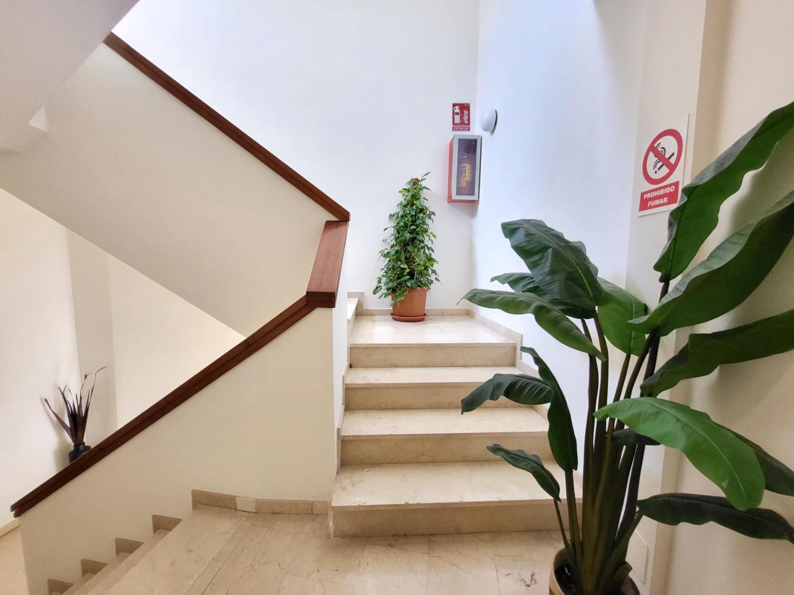 Bureau de 2 chambres à louer à San Pedro de Alcantara avec piscine garage - 1 250 € (Ref: 9683909)