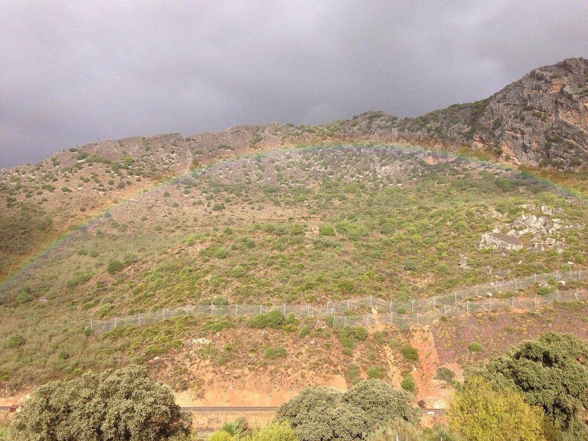 31 slaapkamer Hotel te koop in Benaojan met zwembad - € 1.700.000 (Ref: 9683910)