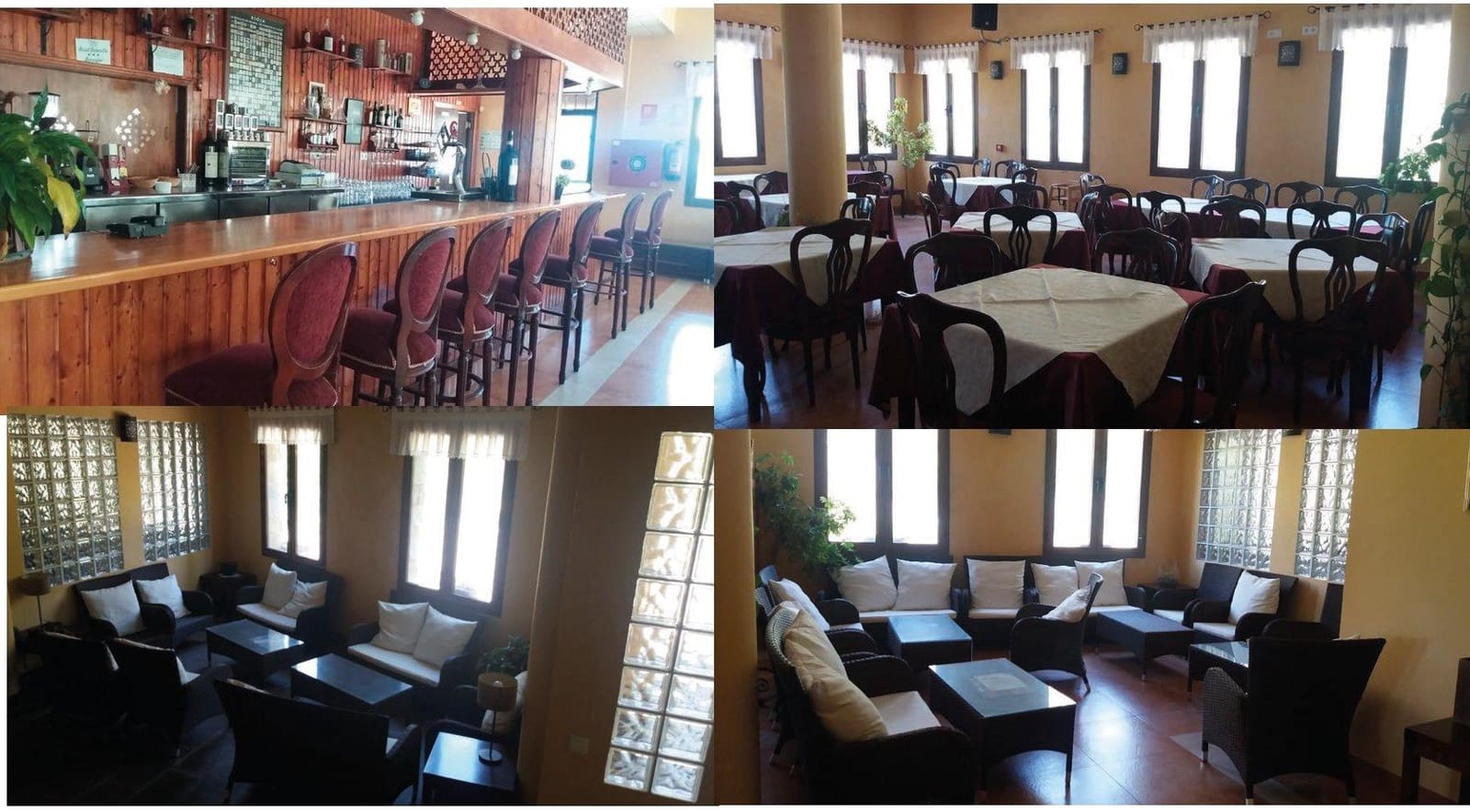 31 slaapkamer Hotel te koop in Benaojan met zwembad - € 1.700.000 (Ref: 9683910)