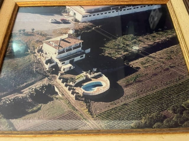 9 slaapkamer Finca/Landhuis te koop in Cancelada, Estepona met zwembad - € 1.500.000 (Ref: 9683936)
