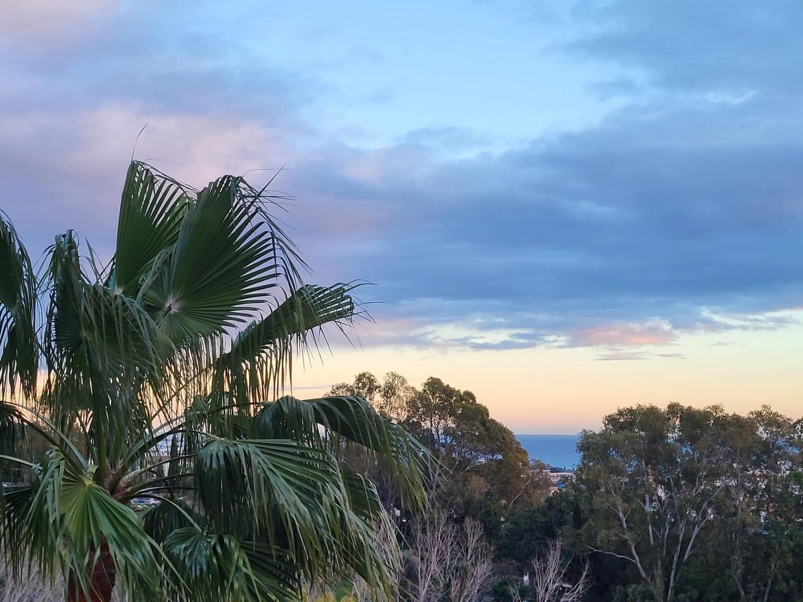 13 camera da letto Hotel in vendita in Marbella con piscina garage - 5.335.000 € (Rif: 9683942)