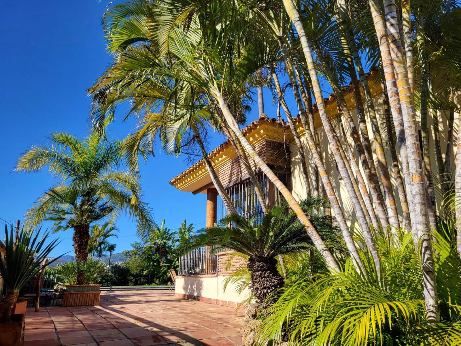 3 slaapkamer Finca/Landhuis te koop in San Pedro de Alcantara met zwembad garage - € 1.200.000 (Ref: 9683947)