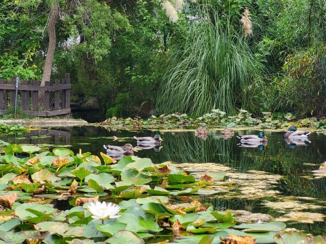 2 slaapkamer Appartement te koop in Costalita, Estepona met zwembad garage - € 439.000 (Ref: 9683955)