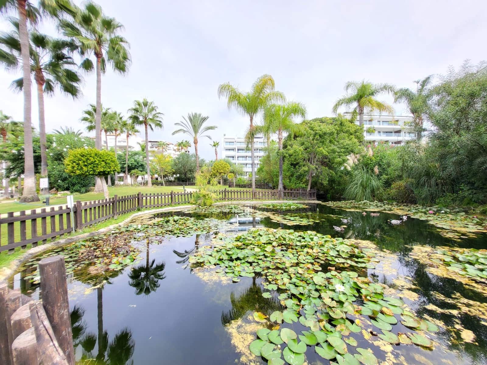 2 slaapkamer Appartement te koop in Costalita met zwembad garage - € 439.000 (Ref: 9683955)