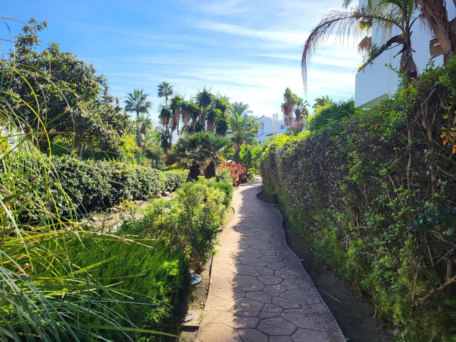 2 slaapkamer Appartement te koop in Costalita met zwembad garage - € 439.000 (Ref: 9683955)