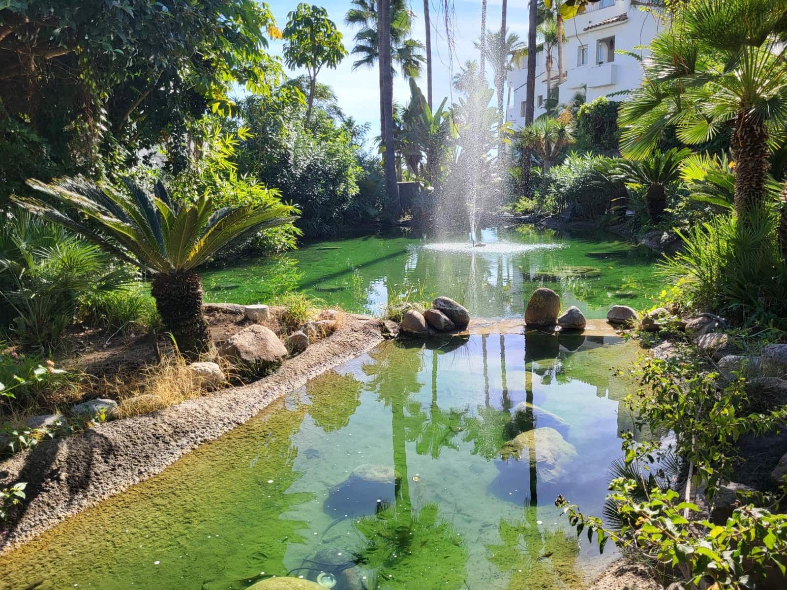 2 slaapkamer Appartement te koop in Costalita met zwembad garage - € 439.000 (Ref: 9683955)