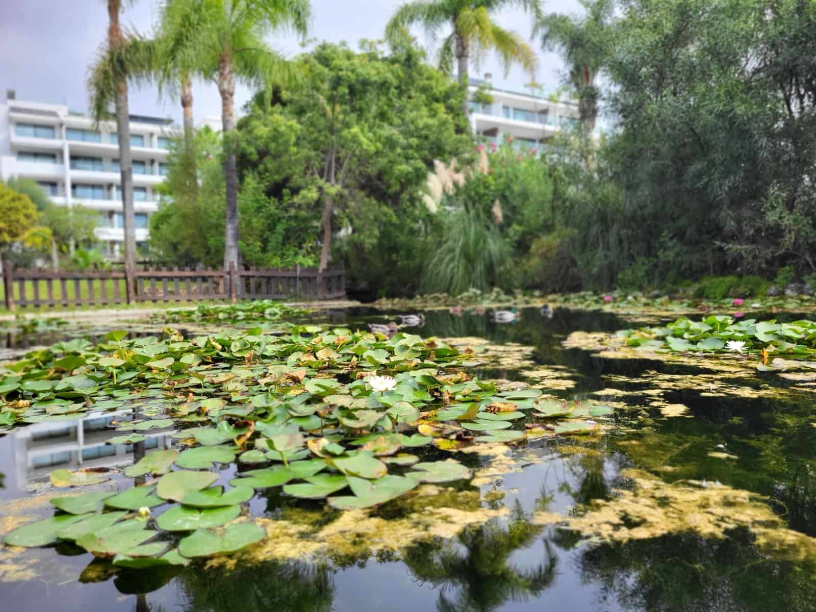 2 slaapkamer Appartement te koop in Costalita met zwembad garage - € 439.000 (Ref: 9683955)