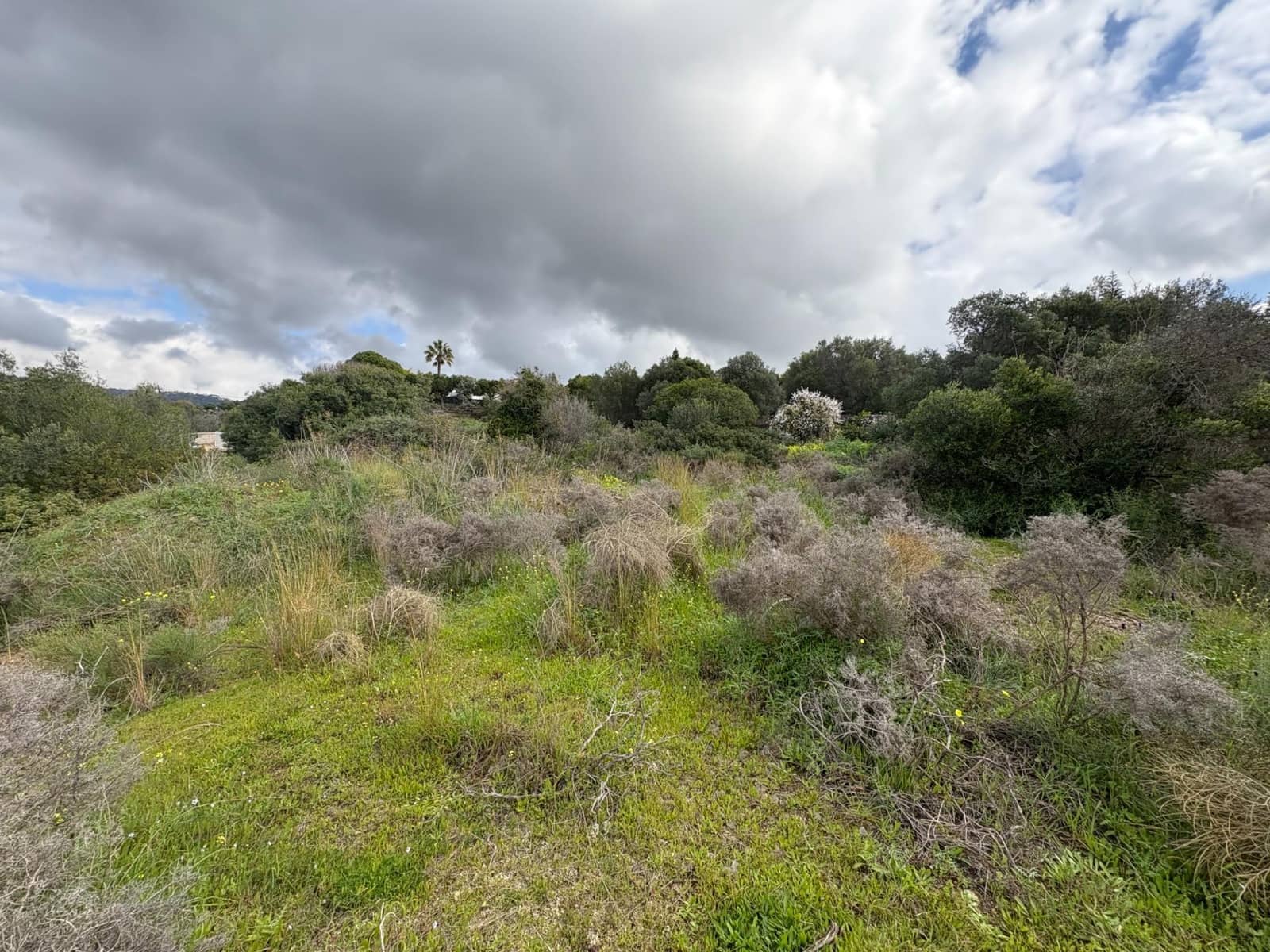 Terreno para Construção para venda em Elviria - 950 000 € (Ref: 9691160)