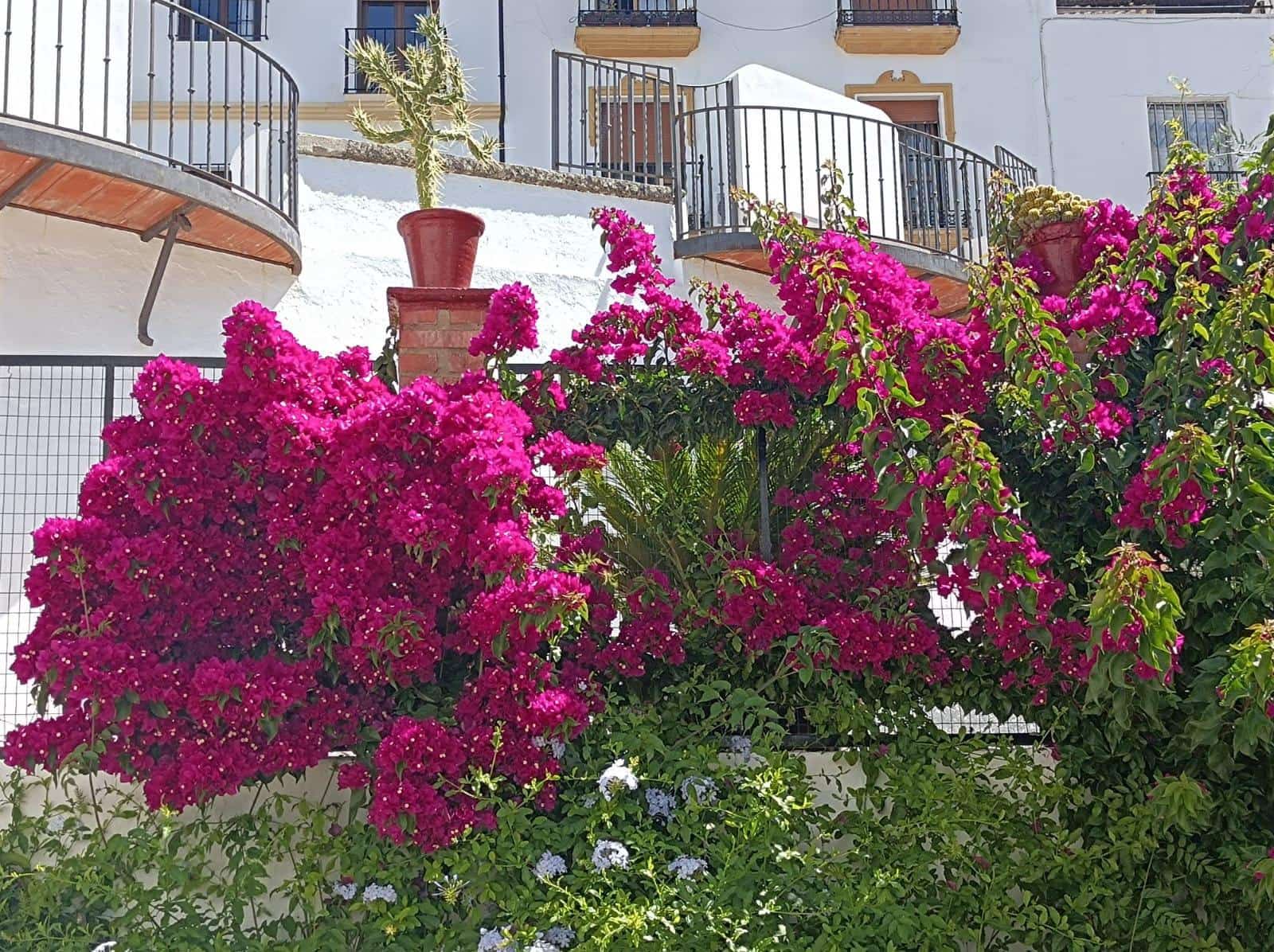 3 quarto Moradia em Banda para venda em Ronda - 179 000 € (Ref: 9691163)