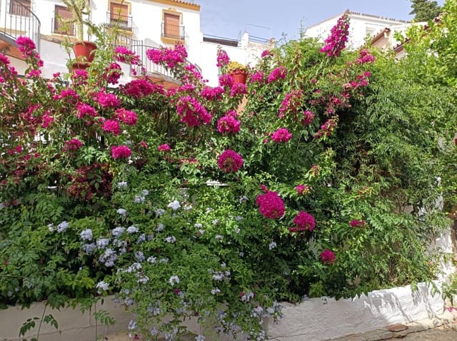 3 quarto Moradia em Banda para venda em Ronda - 179 000 € (Ref: 9691163)