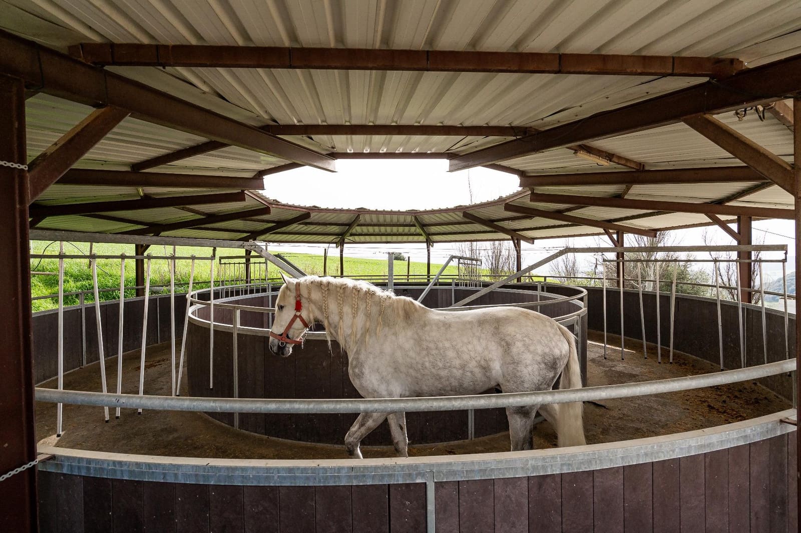 5 bedroom Finca/Country House for sale in Villanueva de la Concepcion with pool - € 1,600,000 (Ref: 9787487)