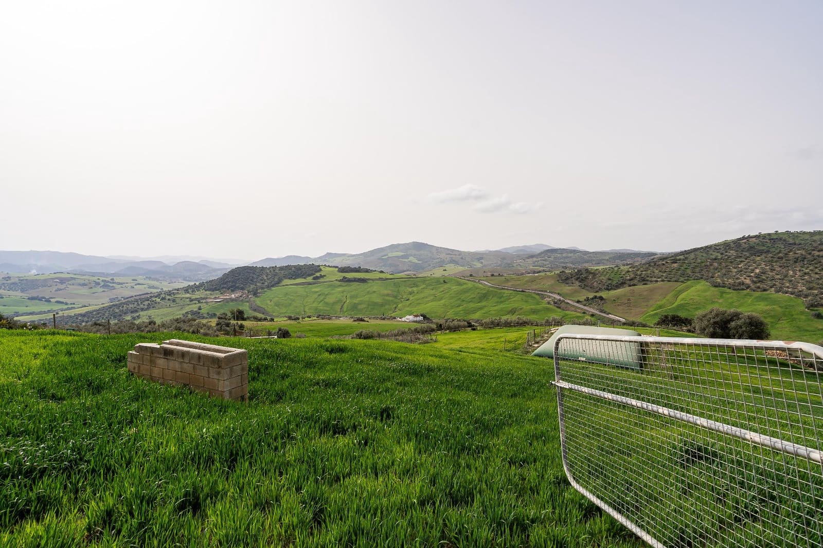 5 bedroom Finca/Country House for sale in Villanueva de la Concepcion with pool - € 1,600,000 (Ref: 9787487)