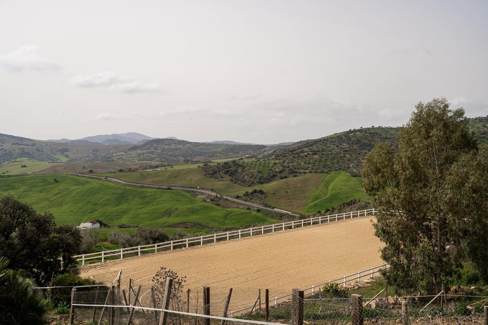 5 bedroom Finca/Country House for sale in Villanueva de la Concepcion with pool - € 1,600,000 (Ref: 9787487)