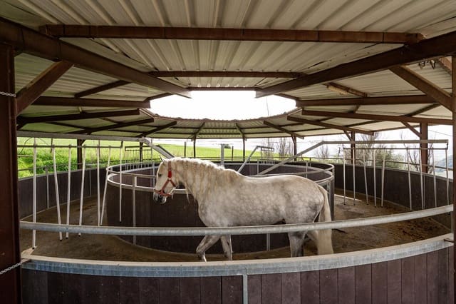 5 Zimmer Finca/Landgut zu verkaufen in Villanueva de la Concepcion mit Pool - 1.600.000 € (Ref: 9787487)