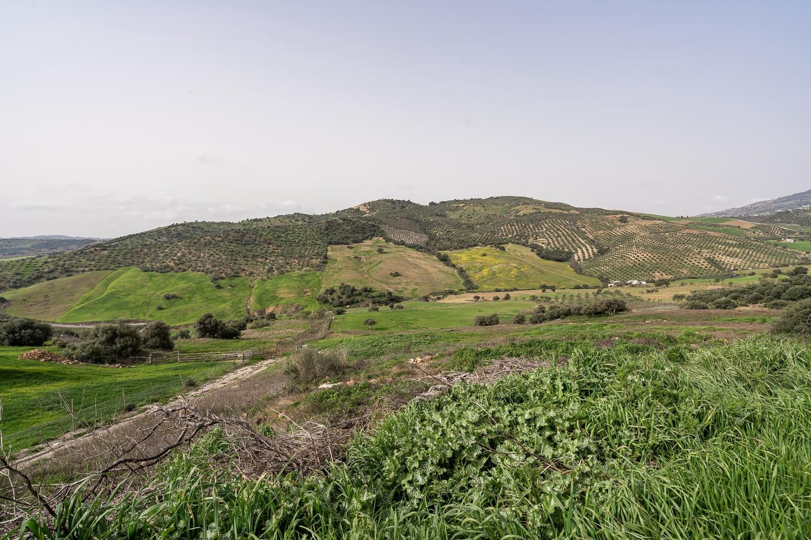 5 bedroom Finca/Country House for sale in Villanueva de la Concepcion with pool - € 1,600,000 (Ref: 9787487)