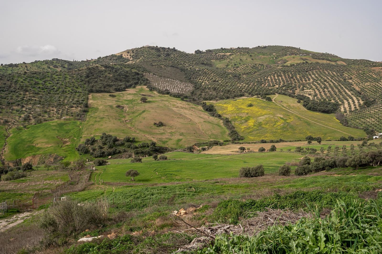 5 bedroom Finca/Country House for sale in Villanueva de la Concepcion with pool - € 1,600,000 (Ref: 9787487)