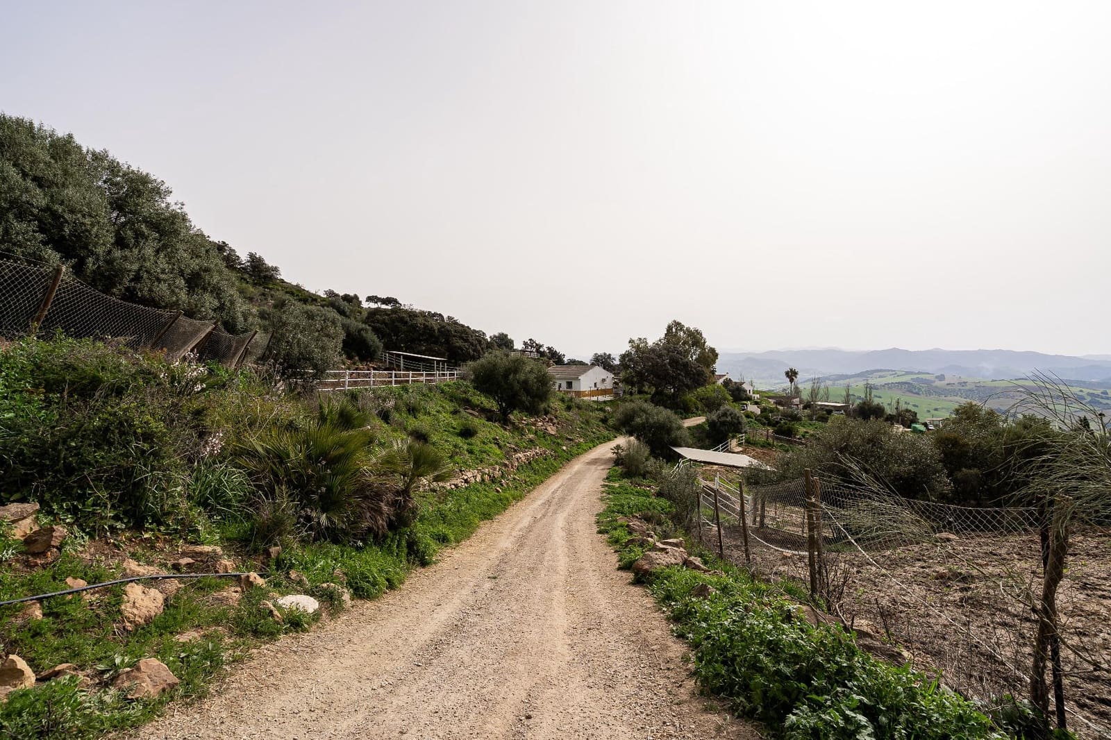 5 bedroom Finca/Country House for sale in Villanueva de la Concepcion with pool - € 1,600,000 (Ref: 9787487)