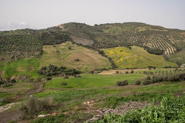 5 Zimmer Finca/Landgut zu verkaufen in Villanueva de la Concepcion mit Pool - 1.600.000 € (Ref: 9787487)