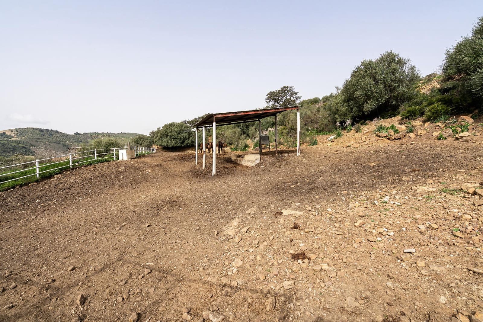 5 bedroom Finca/Country House for sale in Villanueva de la Concepcion with pool - € 1,600,000 (Ref: 9787487)