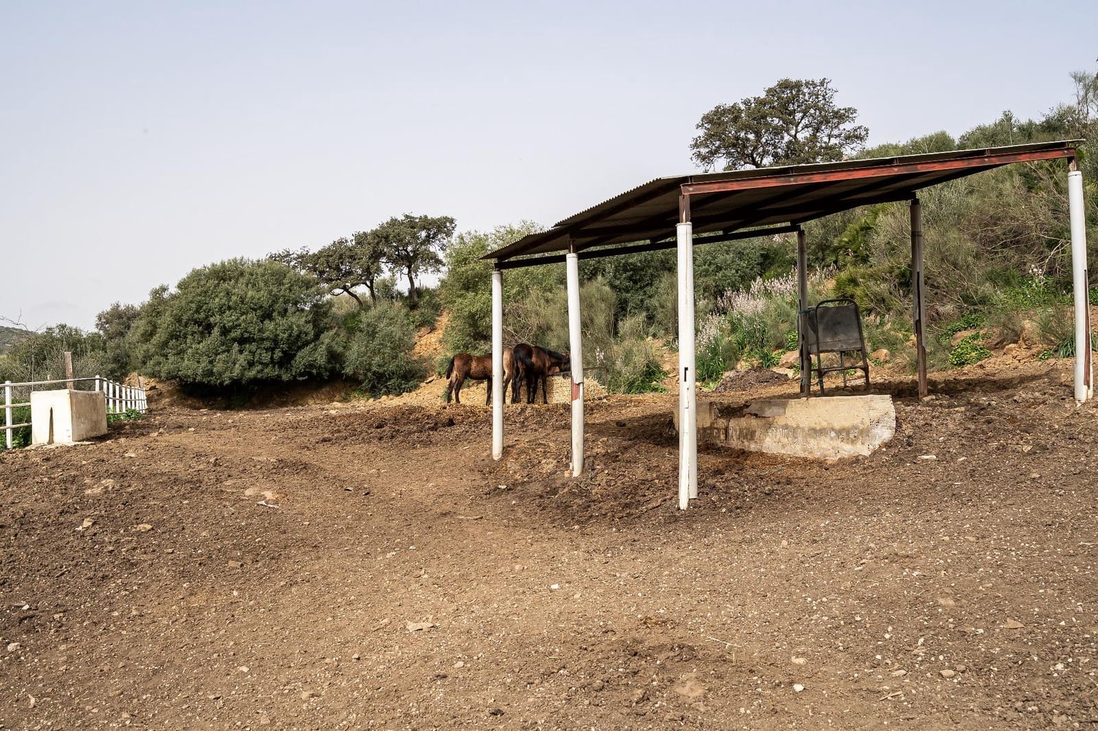 5 bedroom Finca/Country House for sale in Villanueva de la Concepcion with pool - € 1,600,000 (Ref: 9787487)