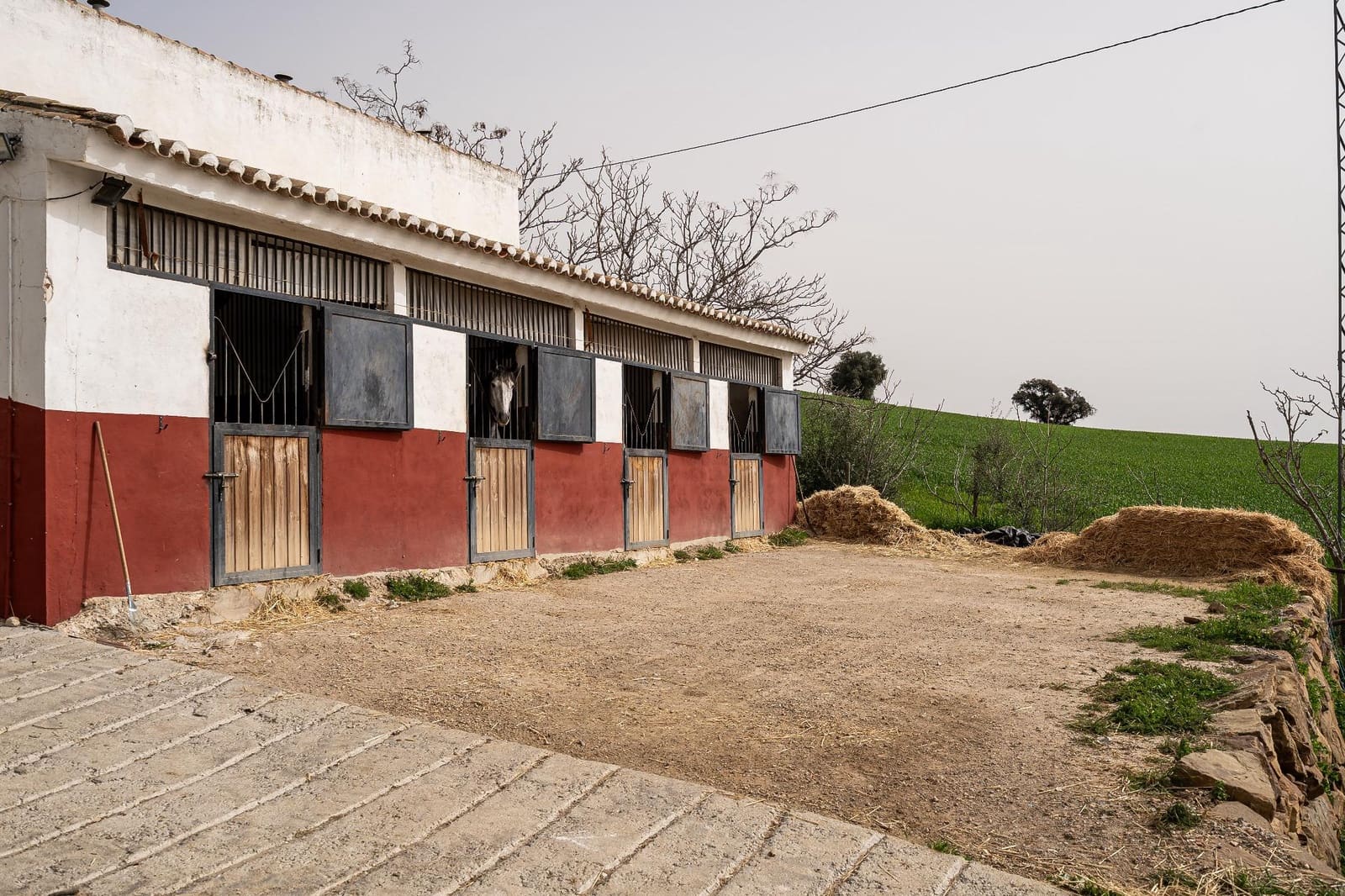 5 bedroom Finca/Country House for sale in Villanueva de la Concepcion with pool - € 1,600,000 (Ref: 9787487)