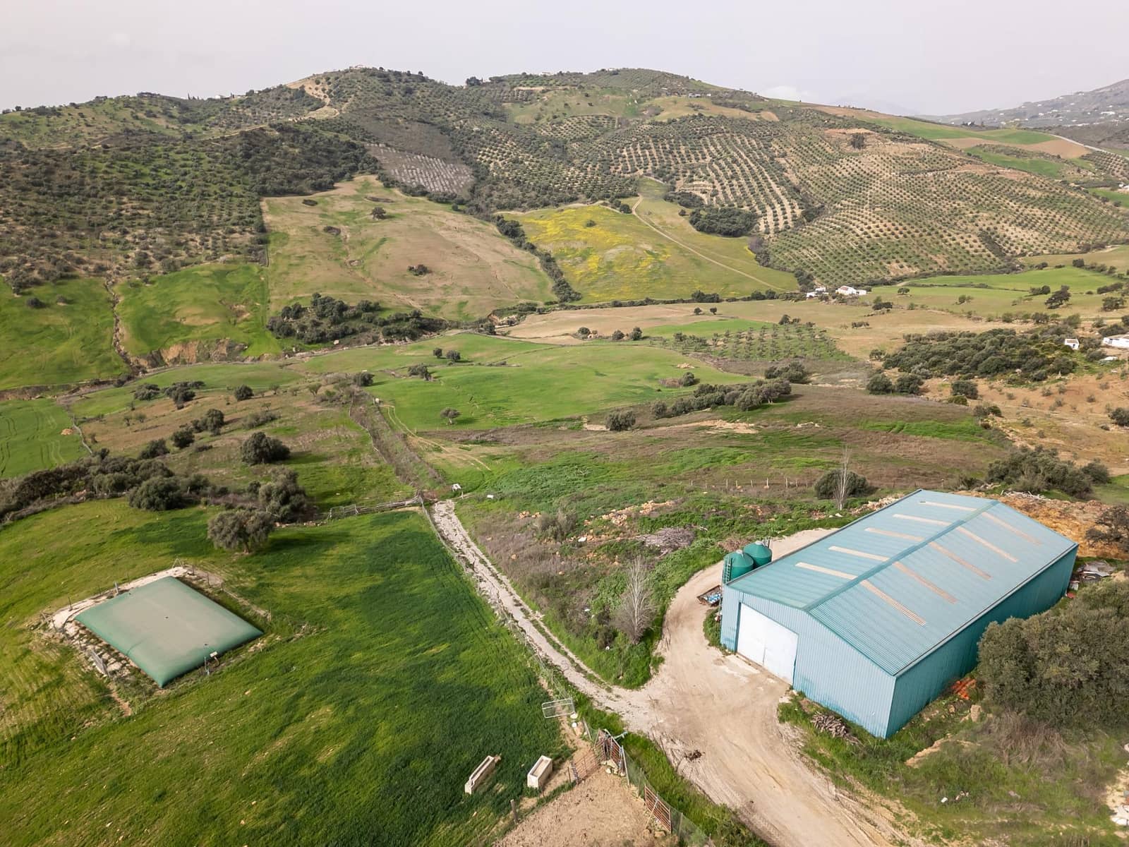 5 bedroom Finca/Country House for sale in Villanueva de la Concepcion with pool - € 1,600,000 (Ref: 9787487)