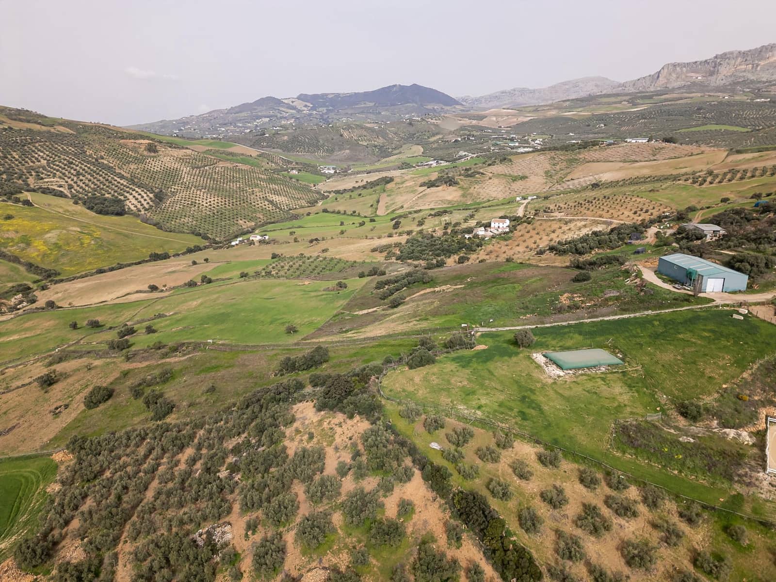 5 bedroom Finca/Country House for sale in Villanueva de la Concepcion with pool - € 1,600,000 (Ref: 9787487)