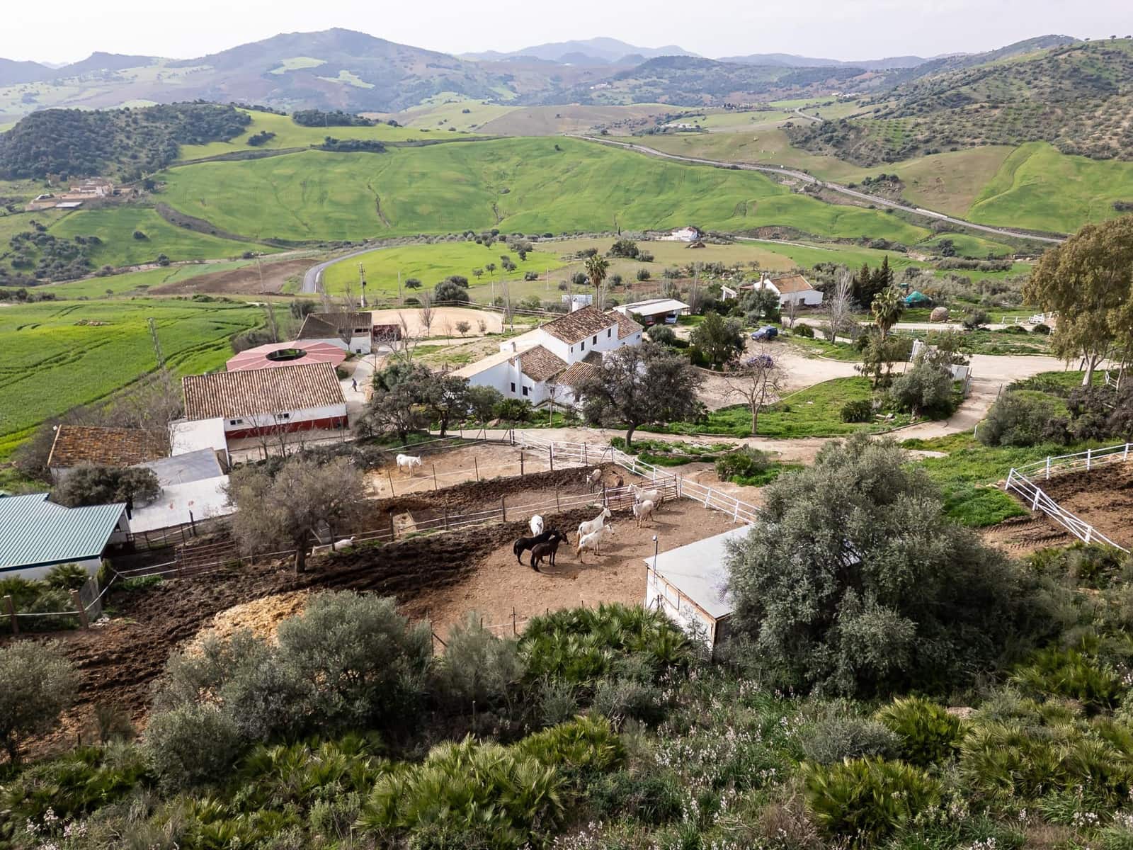 5 bedroom Finca/Country House for sale in Villanueva de la Concepcion with pool - € 1,600,000 (Ref: 9787487)