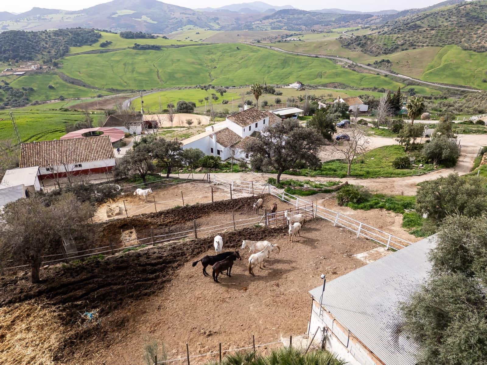 5 bedroom Finca/Country House for sale in Villanueva de la Concepcion with pool - € 1,600,000 (Ref: 9787487)
