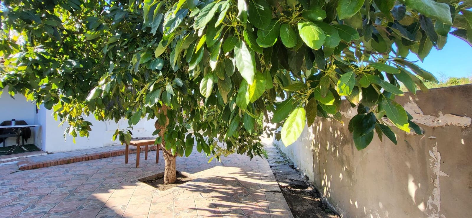 2 quarto Moradia para venda em Cancelada - 1 010 000 € (Ref: 9788684)