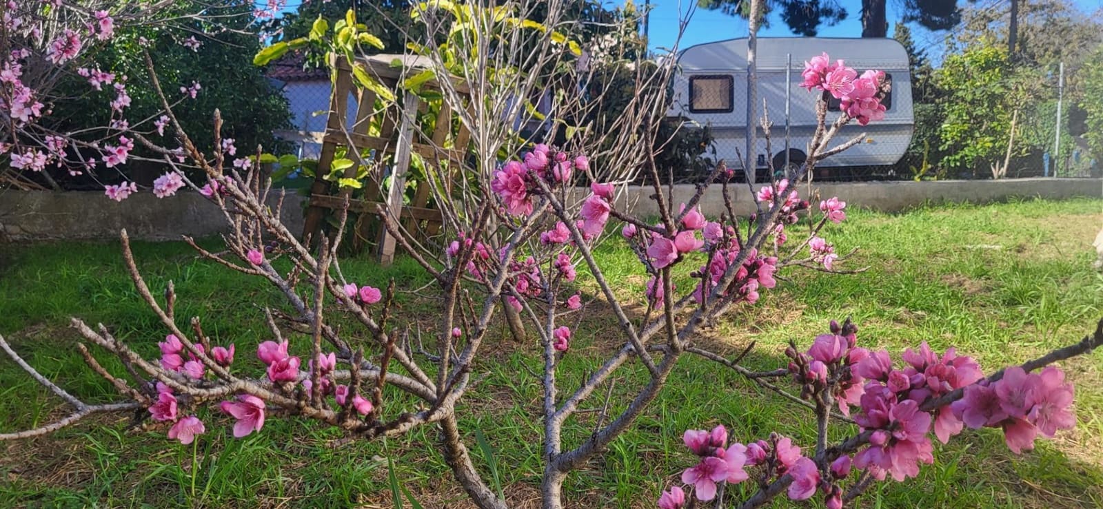 2 quarto Moradia para venda em Cancelada - 1 010 000 € (Ref: 9788684)