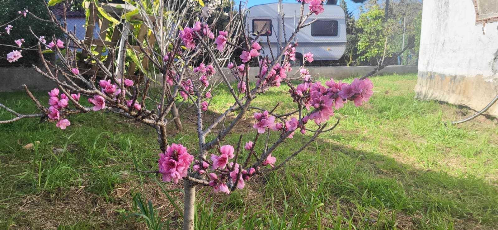 2 quarto Moradia para venda em Cancelada - 1 010 000 € (Ref: 9788684)