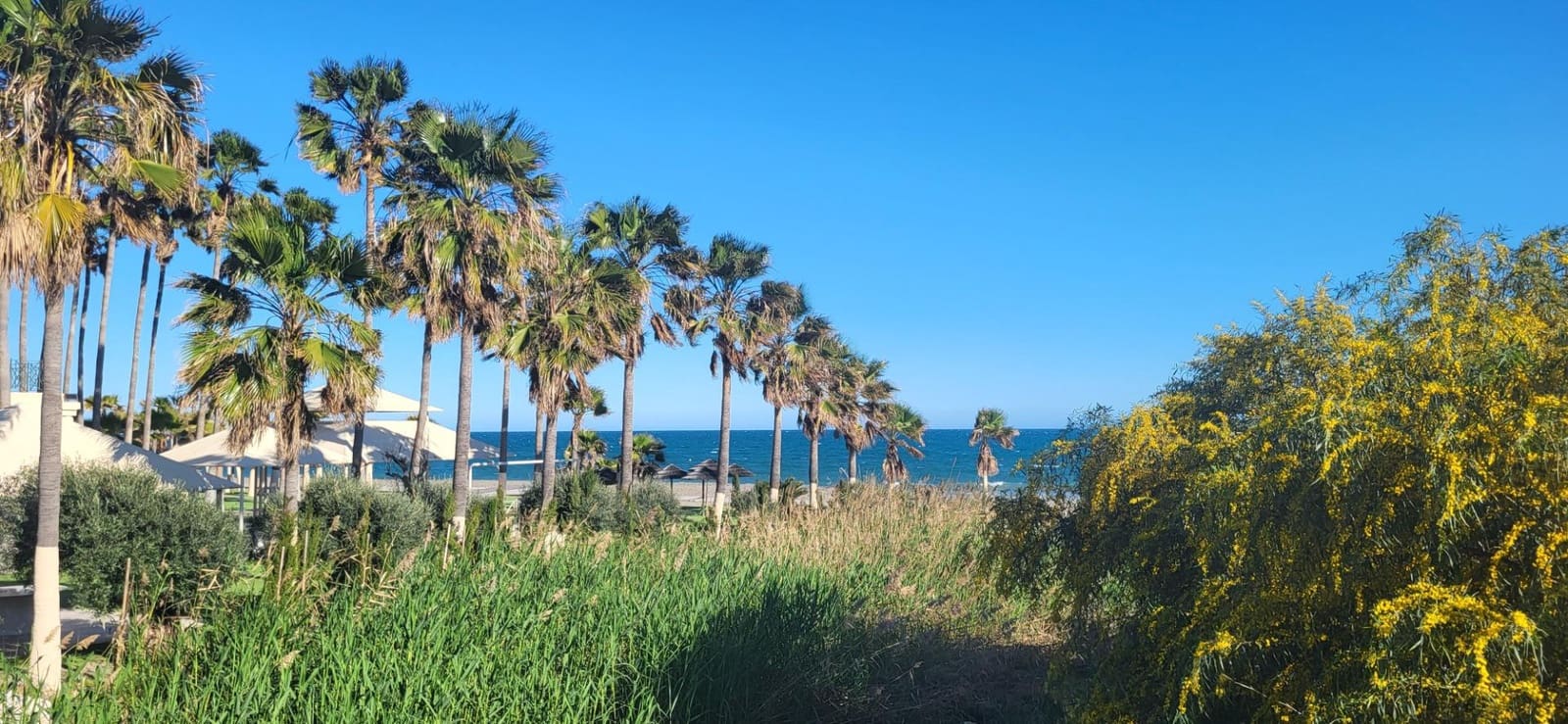 2 quarto Moradia para venda em Cancelada - 1 010 000 € (Ref: 9788684)