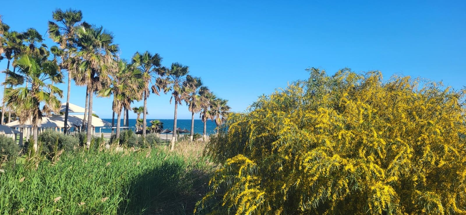 2 quarto Moradia para venda em Cancelada - 1 010 000 € (Ref: 9788684)