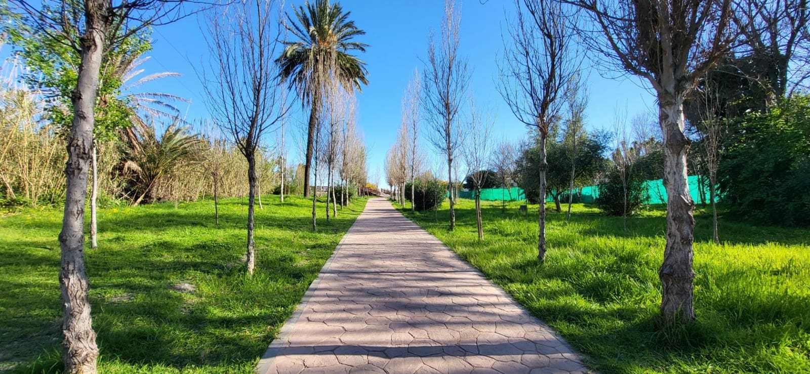 2 quarto Moradia para venda em Cancelada - 1 010 000 € (Ref: 9788684)