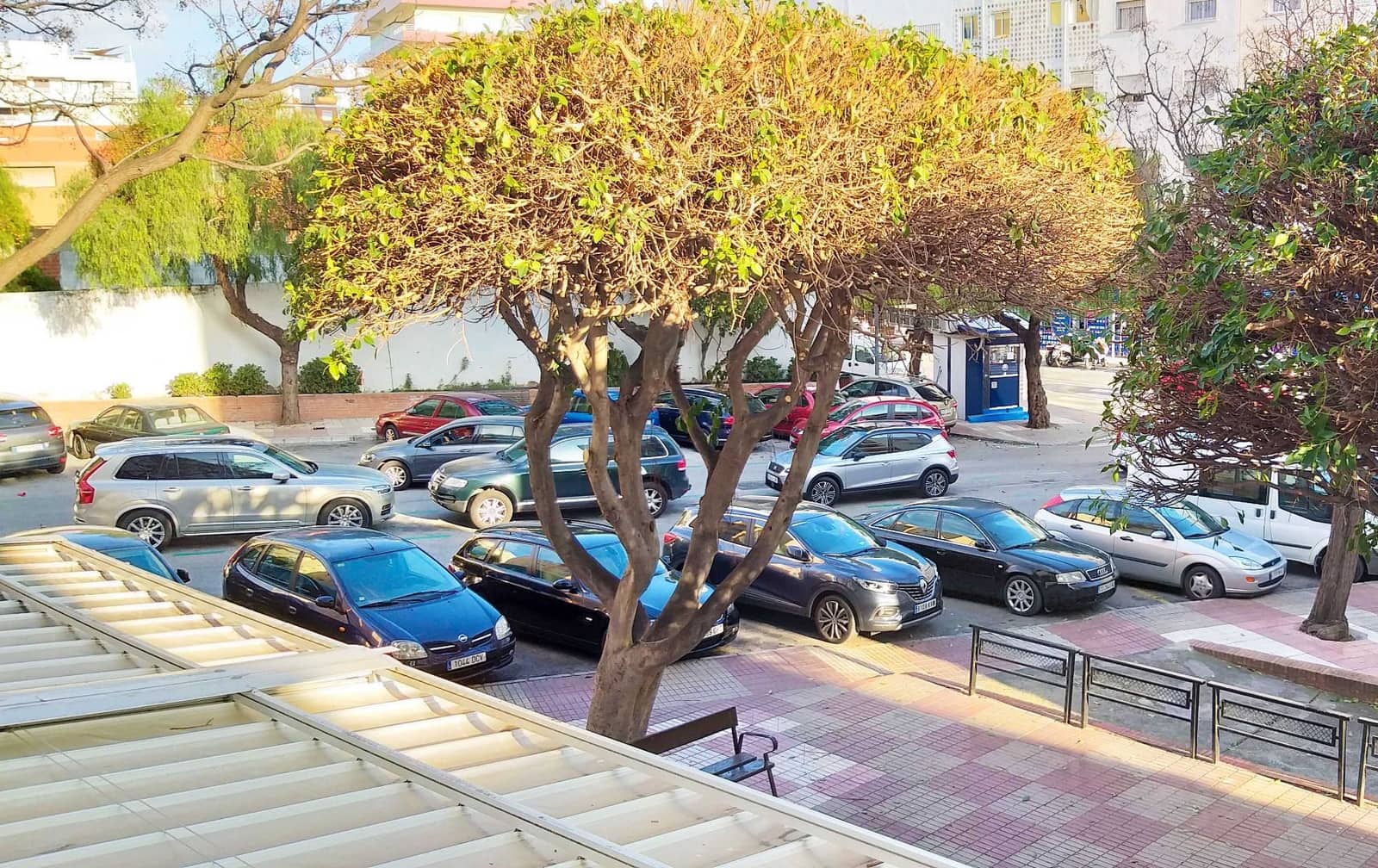 Kommersiell til leie i San Pedro de Alcantara - € 800 (Ref: 9836614)
