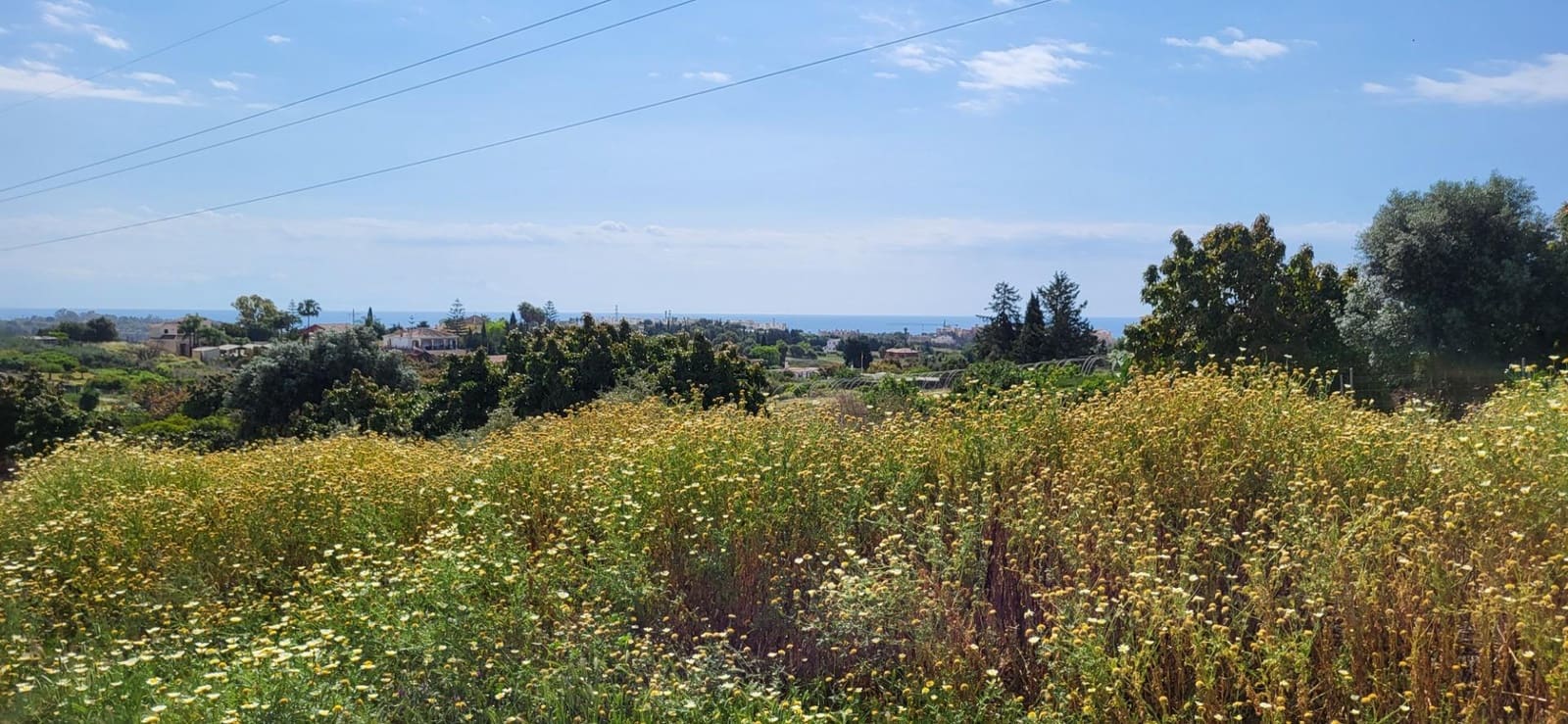 Terre non Aménagée à vendre à El Padron - 852 000 € (Ref: 9839620)