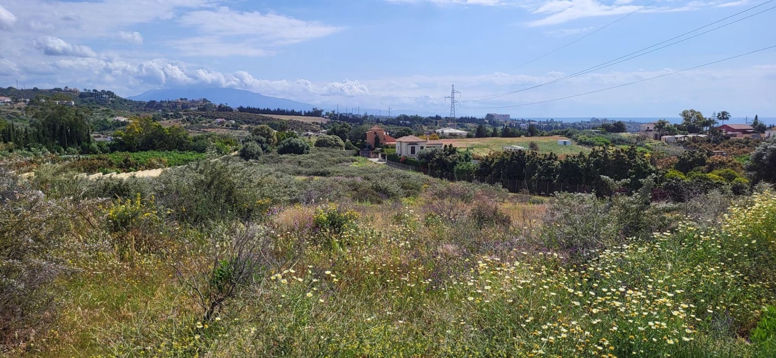 Terre non Aménagée à vendre à El Padron - 852 000 € (Ref: 9839620)