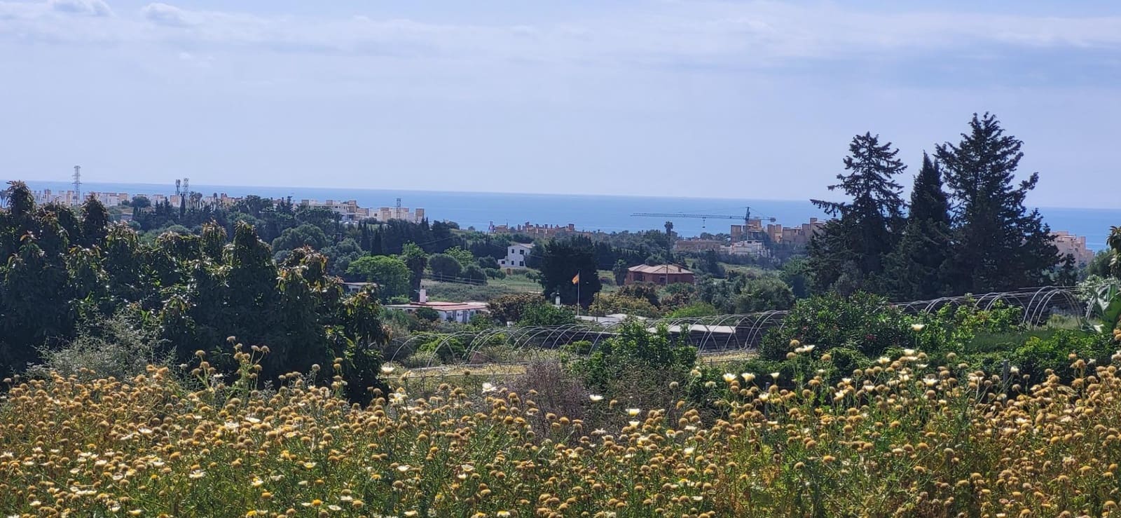 Terre non Aménagée à vendre à El Padron - 852 000 € (Ref: 9839620)