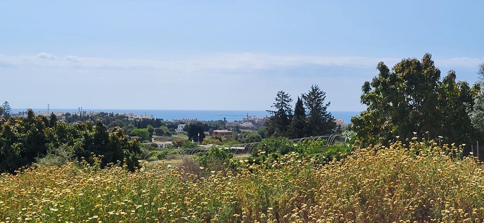 Terre non Aménagée à vendre à El Padron - 852 000 € (Ref: 9839620)