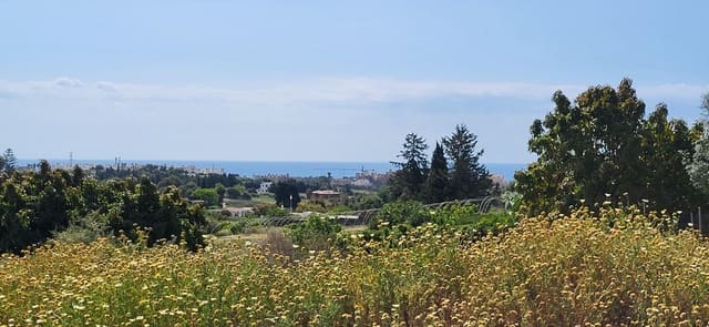 Undeveloped Land for sale in El Padrón, Estepona - € 852,000 (Ref: 9839620)